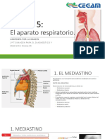 Tema 5 Respiratorio