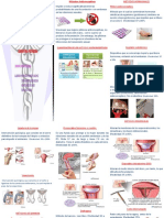 Triptico Metodos Anticonceptivos