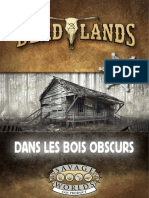 Dans Les Bois Obscurs