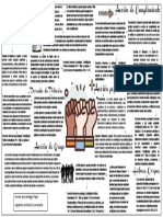 Infografia Constitución y Democracia