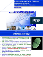 Tema 11. ENTEROCOCCUS SPP - GONZALEZ CABEZA