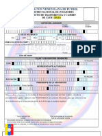 Planilla RNJ2 Traspaso Original