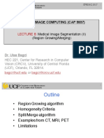 Medical Image Computing (Cap 5937)