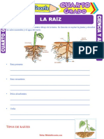 La Raíz para Cuarto Grado de Primaria