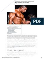 Hipertrofia Muscular, Descubre Todas Sus Claves - Mundo Entrenamiento