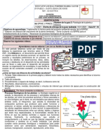 Guía PRAE 3 - 11º..