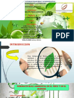 Trabajo de Expocision - Medio Ambiente