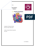 Ciclo Cardiaco