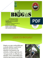 Biogas