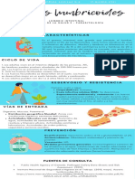 Infografía Parasitología