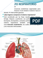 Introduccion Pato Respiratoria