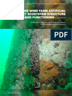 Offshore Windfarm Bivalves Research Synthesis