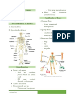 Chapter 5 The Skeletal System