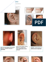 Oidosemiologia