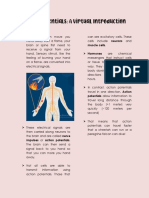 Interactive Action Potentials