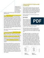 Components of The Dance Language Background: Distance