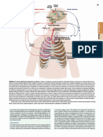 270 - PDFsam - Harrison Principios de Medicina Interna - 20º - Tomo 1