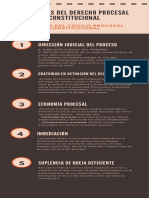 Infografía 1 Principios Del Derecho Procesal Constitucional (1) Examen Constitucional