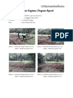 Laporan Kegiatan - Pembuatan Bedengan - Praktikum30Maret2021