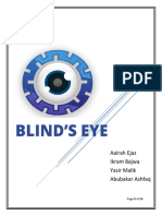 Marketing Plan Blinds Eye