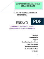 Ensayo de Las Determinantes Sociales de La Salud - Equipo 1