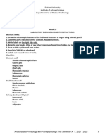 Laboratory Exercise 44 Digestive Structures