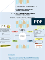 Mapa Deterioro de Lípidos Actividad 3