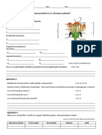 Lucrare Practica NR 2 Structura Plantei Cl8