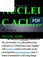 Nuclei C Acids: BSN 1y0-5