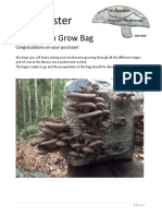 Blue Oyster: Mushroom Grow Bag