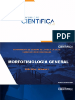 Histologia - Practica - Sem3 - Tejido Epitelial Glandular 2021 II