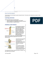 Forearm Fractures Final