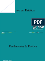 Fundamentos Da Estetica - Aula 01