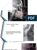 Puntos Anatómicos Estructuras