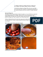 Procedure Text-How To Extract Palm Oil From Palm Fruit at Home