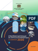 Stratégie Nationale de L'efficacité Énergétique À L'horizon 2030