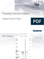 Schlumberger Case Hole Logging PSP - Rev