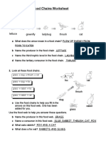 Food Webs and Food Chains Worksheet: Lettuce Greenfly Ladybug Thrush Cat