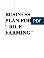 Business Plan For Rice Farming