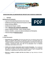 Pautas para La Elaboración de Proyecto 20021-Iii Servicio Comunitario