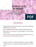 Spindle Cell Tumors