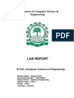 Software Engineering Lab Report (CS217)