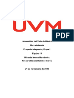 Universidad Del Valle de México Mercadotecnia Proyecto Integrador, Etapa 1 Equipo 13 Miranda Menes Hernández Rosaura Natalia Martínez García