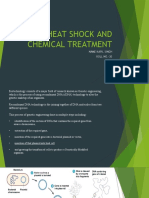 Heat Shock and Chemical Treatment