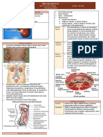 Transes Anaphy Urinary