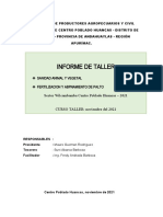 Informe de Taller de Capacitacion