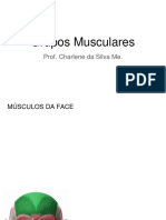 Grupos Musculares-Membros Inferiores