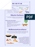 Infografia Nutricion, Alimentacion y Dieta