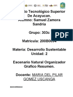 Escenario Natural Organizador Grafico Resumen