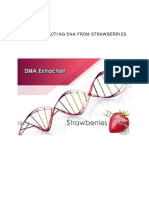 EXPERIMENT - Extracting DNA From Strawberries 571577 7